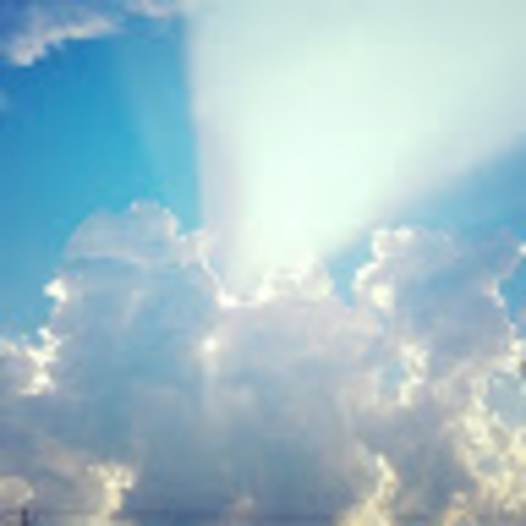 Meet your Posher, Michelle - Picture 1 of 1